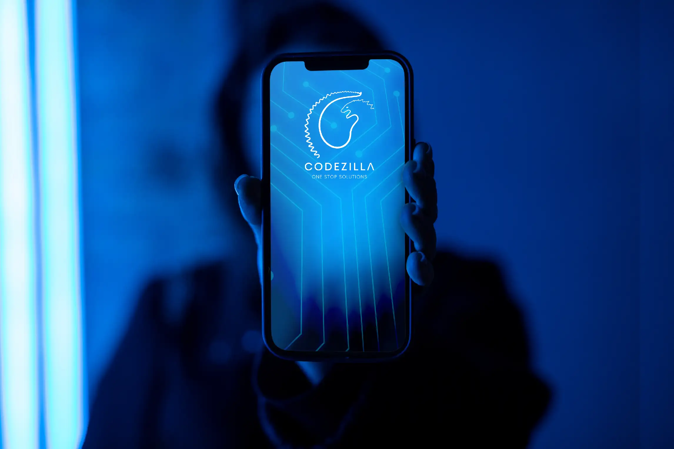 Codezilla - Professional web development and digital solutions showcase